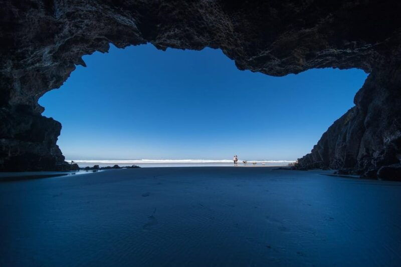 dunedin-city-otago-peninsula-scenery-day-tour