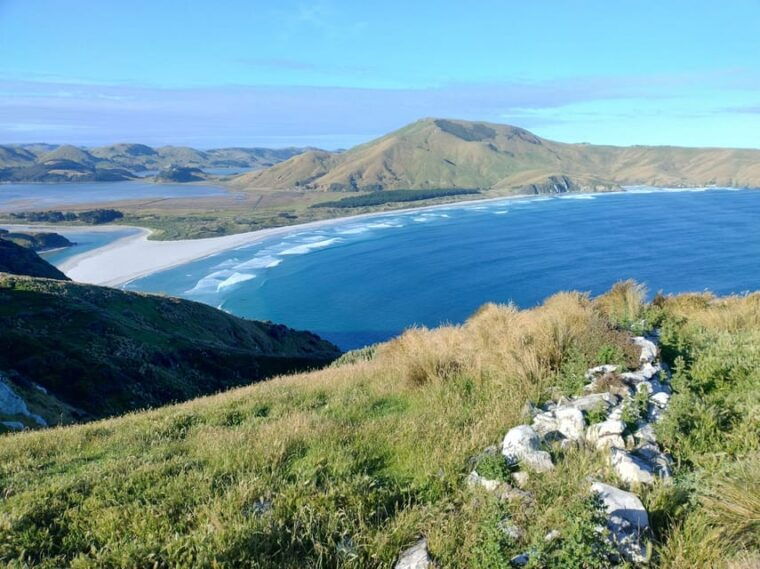 dunedin-city-otago-peninsula-scenery-day-tour