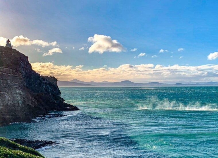 dunedin-city-otago-peninsula-scenery-day-tour