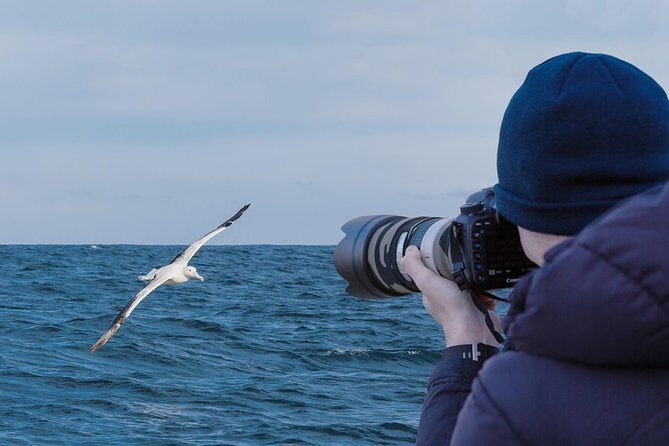 Dunedin City to Sea Wildlife Cruise + Peninsula Bus Tour - Detailed Breakdown of the Tour Experience