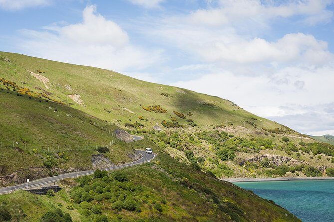 Dunedin City to Sea Wildlife Cruise + Peninsula Bus Tour - FAQs