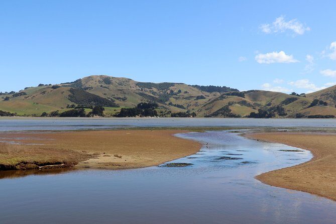 Dunedin City, Wildlife and Larnach Castle - Key Points  
