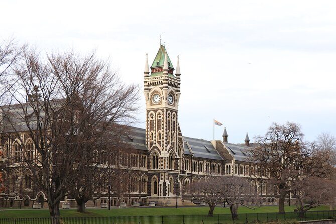 Dunedin City, Wildlife and Larnach Castle - A Complete Breakdown of the Dunedin City, Wildlife, and Larnach Castle Tour