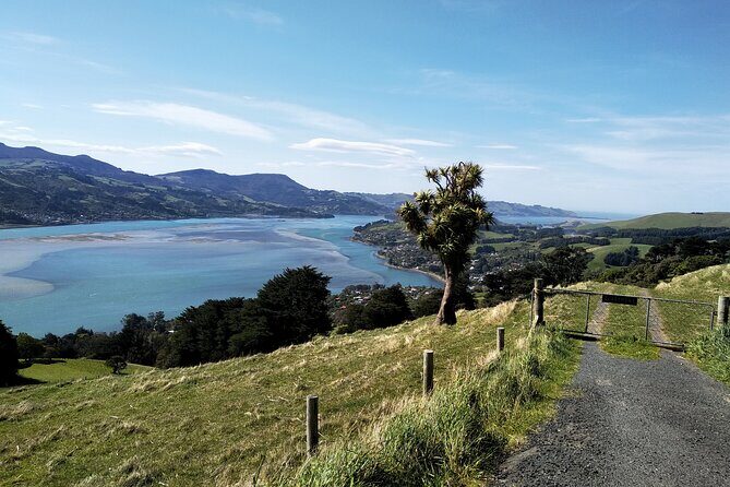 Dunedin City, Wildlife and Larnach Castle - Final Thoughts