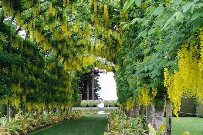 Dunedin City, Wildlife and Larnach Castle - FAQs