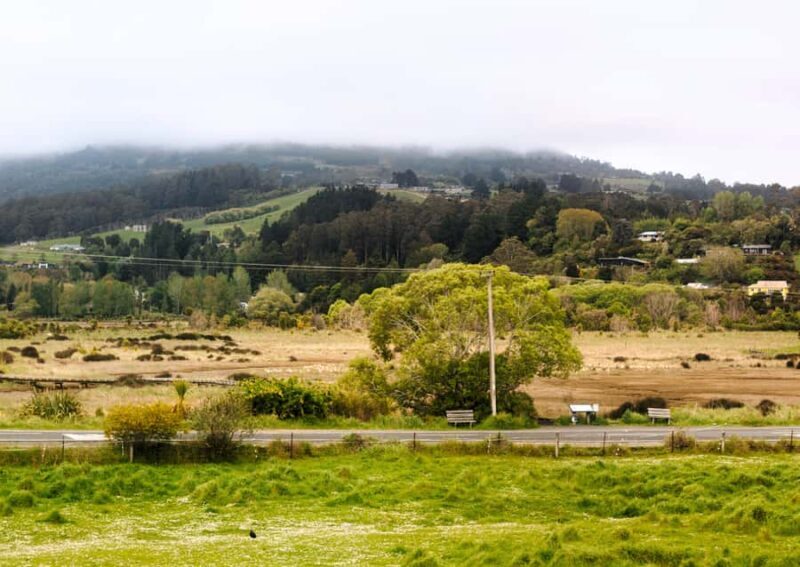 Dunedin Cruise Excursion: Express Coastline Rail Tour - Introduction: a Quick Coastal Escape With a View