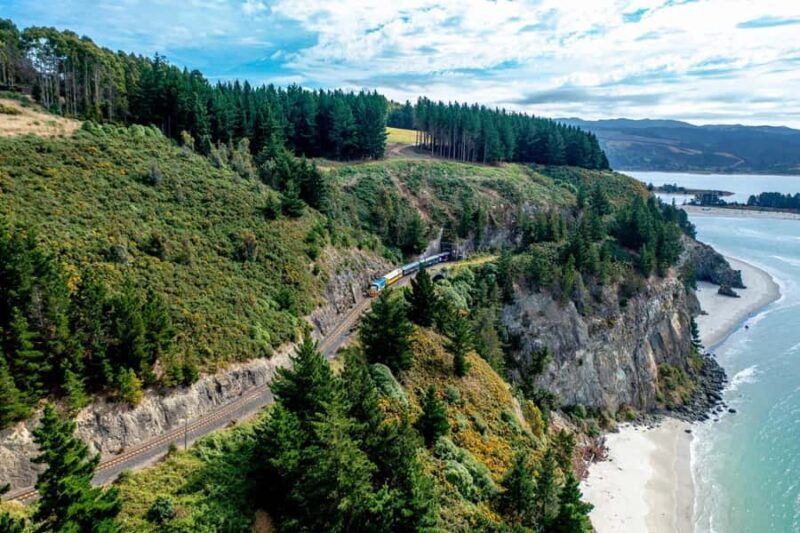 Dunedin Cruise Excursion: Express Coastline Rail Tour - Detailed Breakdown of the Itinerary