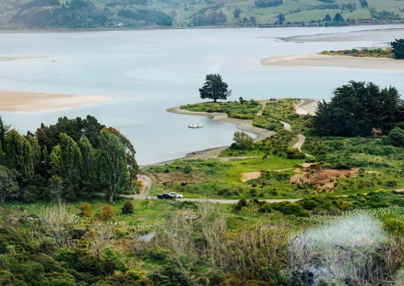 Dunedin Cruise Excursion: Express Coastline Rail Tour - The Sum Up: Is This the Scenic Experience for You?