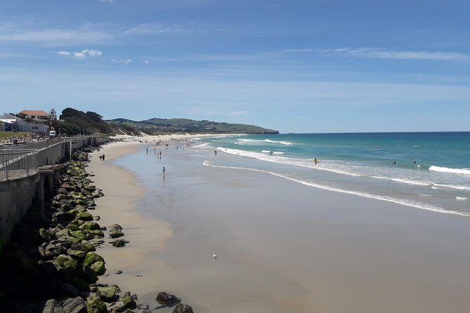 Dunedin Nature & City Tour  Full Day Cruise Excursion - The Real Experiences from Reviewers
