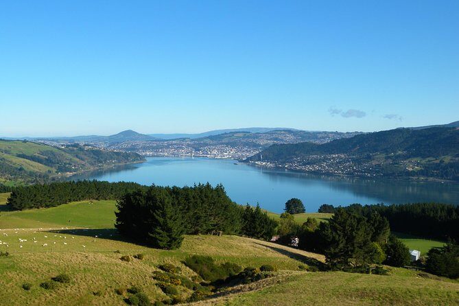 Dunedin Nature & City Tour  Full Day Cruise Excursion - Who Would Love This Tour?