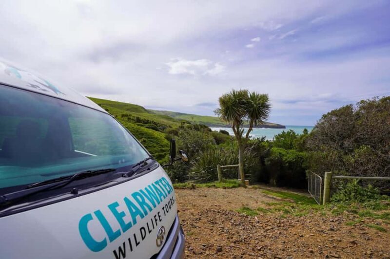 Dunedin: Otago Peninsula Clearwater Wildlife Tour - FAQ