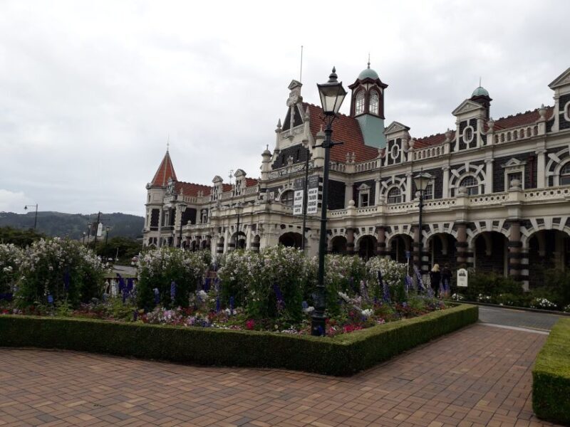 Dunedin: Otago Peninsula with Guided Penguin Tour - Authentic Experiences and Tips
