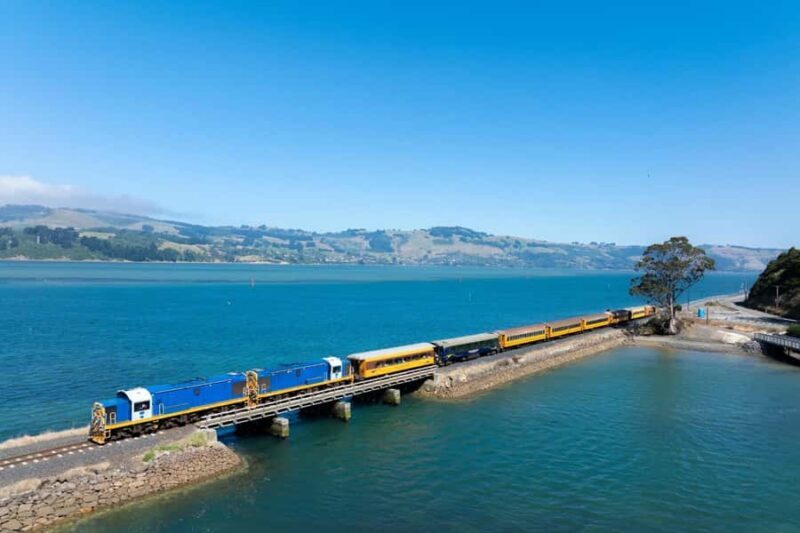 Dunedin: Scenic Railway Tour of Otago's Coastline - A Detailed Look at the Scenic Railway Experience