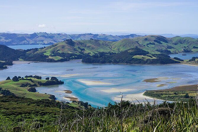 Dunedin Shore Excursion City Sightseeing & Tour of Larnach Castle - Free Time in Dunedin City