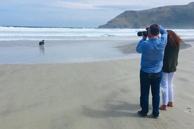 Dunedin Shore Excursion: Small-Group Tour of Dunedin and the Otago Peninsula - An Introduction to Dunedin and the Otago Peninsula Experience