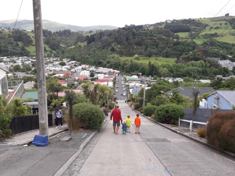 Dunedin: Small Group City Highlights Tour - Discover Dunedin with a Small Group City Highlights Tour