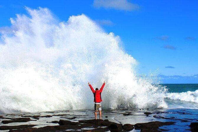 Dunedin to Invercargill via the Scenic Catlins - Is It Worth the Price?