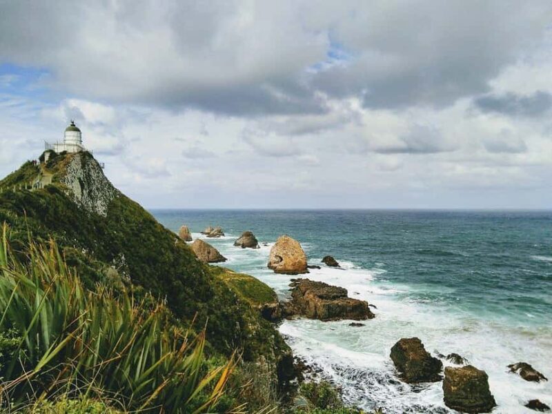 Dunedin to Te Anau via The Catlins & Invercargill 1 Way Tour - The Itinerary Breakdown: What You Can Expect