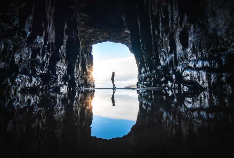 Dunedin to Te Anau via The Catlins & Invercargill 1 Way Tour - Why This Tour Offers Real Value
