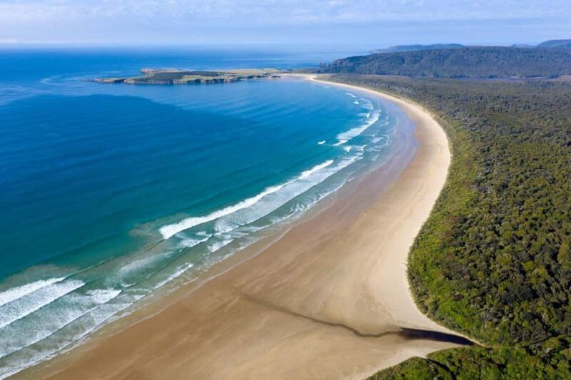 Dunedin to Te Anau via The Catlins & Invercargill 1 Way Tour - Final Thoughts: Who Will Love This Tour?