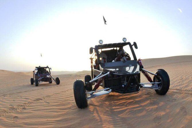 Dunes Buggy Drive In Red Desert Dubai - What to Expect on the Dunes Buggy Drive and Camel Ride Tour