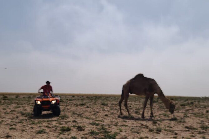 Dunes Quad or Buggy Tour In Agadir - Final Thoughts: Is This Tour Worth It?