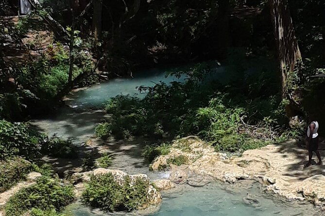 dunns-river-and-blue-hole-day-tour