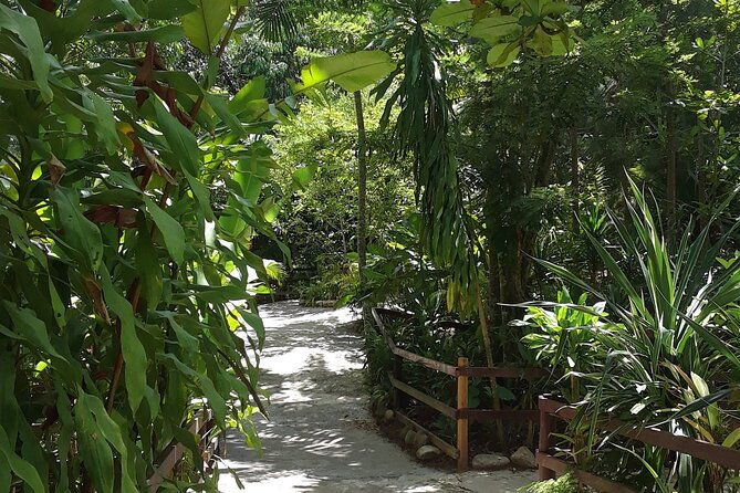 dunns-river-and-blue-hole-day-tour