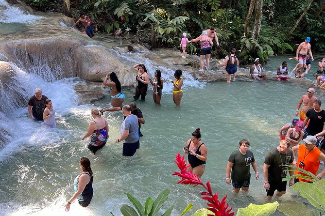 dunns-river-falls-and-blue-hole-private-tour-from-montego-bay-2