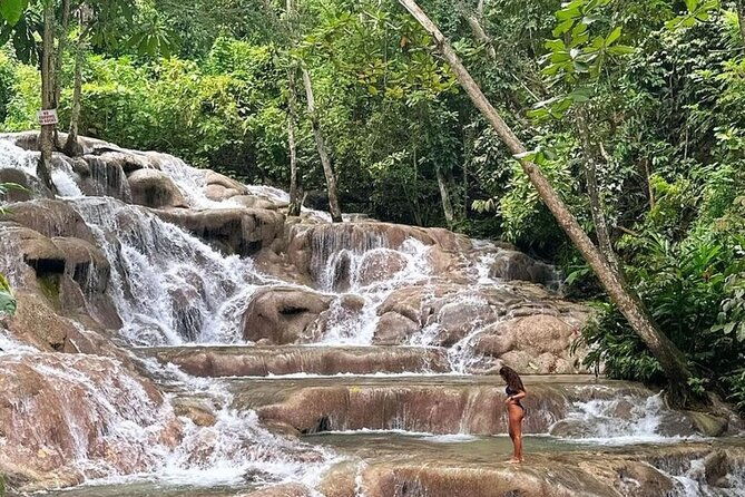 dunns-river-falls-and-blue-hole-private-tour-from-montego-bay-3