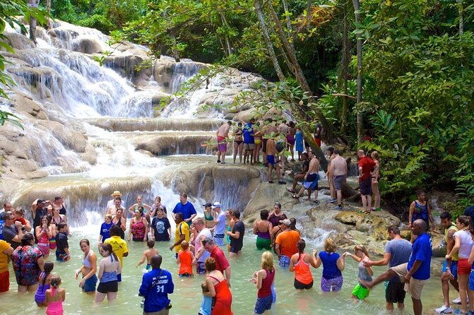 dunns-river-falls-and-blue-hole-private-tour-from-montego-bay-3