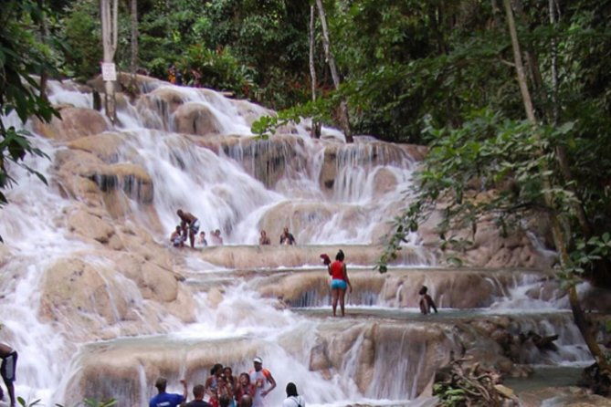 dunns-river-falls-and-blue-hole-private-tour-from-ocho-rios