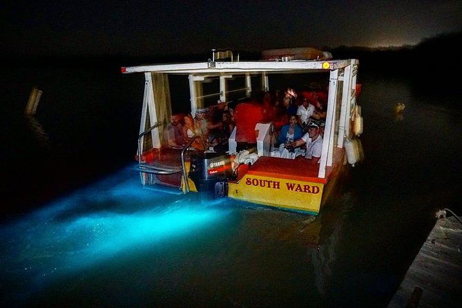 dunns-river-falls-and-luminous-lagoon-guided-tour-from-grand-palladium