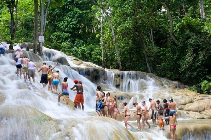 dunns-river-falls-and-luminous-lagoon-guided-tour-from-grand-palladium