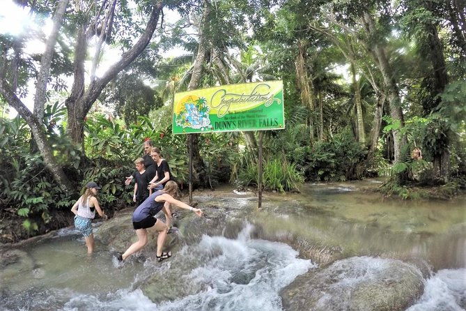 dunns-river-falls-and-ocho-rios-shopping-tour-from-falmouth