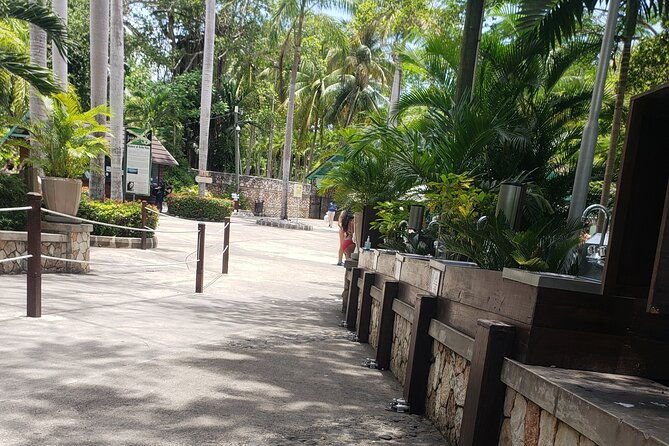 dunns-river-falls-blue-hole-tour-from-montego-bay