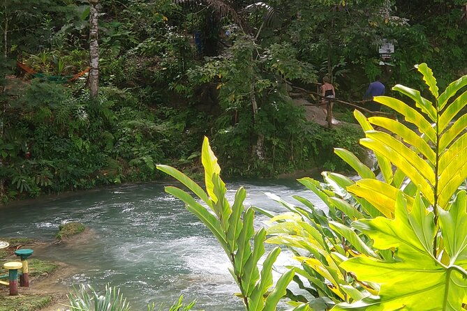 dunns-river-falls-blue-hole-tour-from-montego-bay
