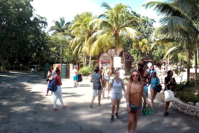 dunns-river-falls-park-and-beach