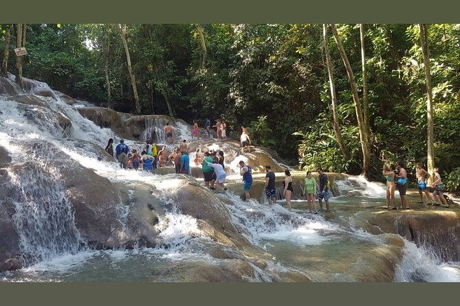 dunns-river-falls-private-day-tour
