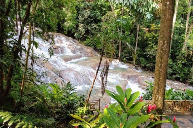 dunns-river-falls-private-tour