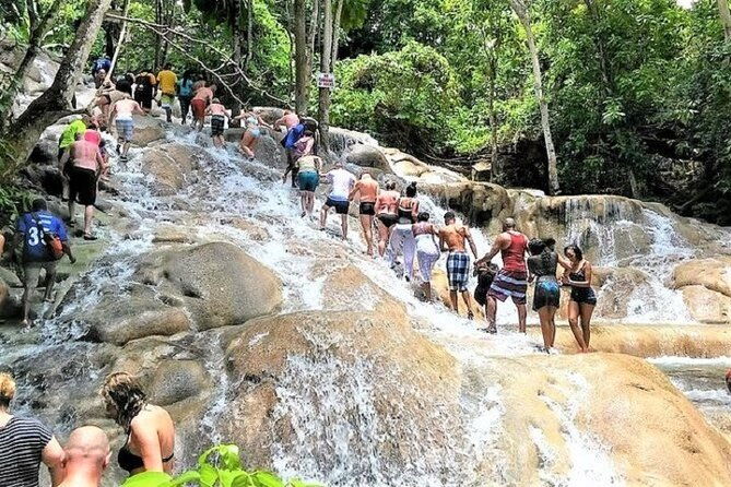 dunns-river-falls-shopping-and-lunch-2