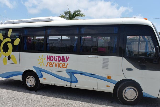 dunns-river-falls-tour-from-ocho-rios