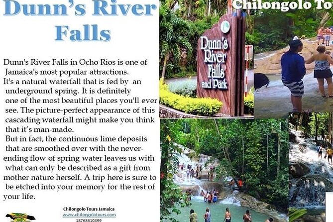 dunns-river-fallszip-lining-horseback-riding-combo-tour-from-montego-bay