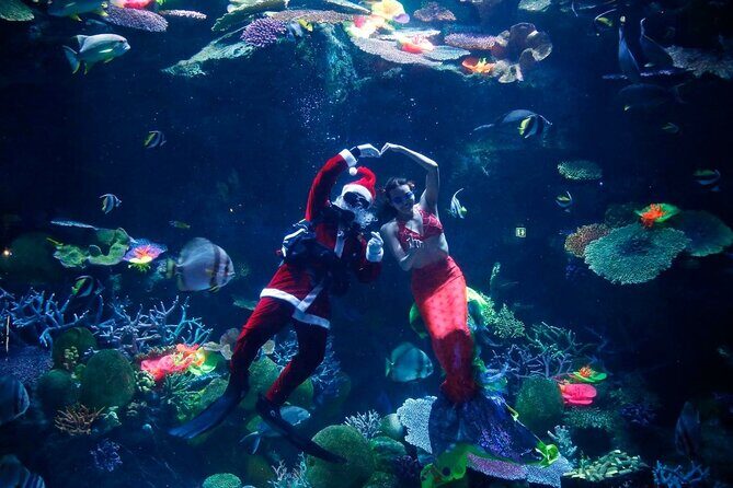 Duo SEA LIFE and Madame Tussauds Ticket in Bangkok - Exploring SEA LIFE Bangkok