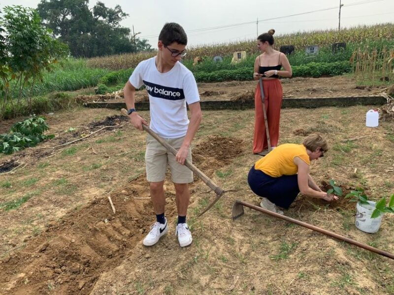 duong-lam-ancient-village