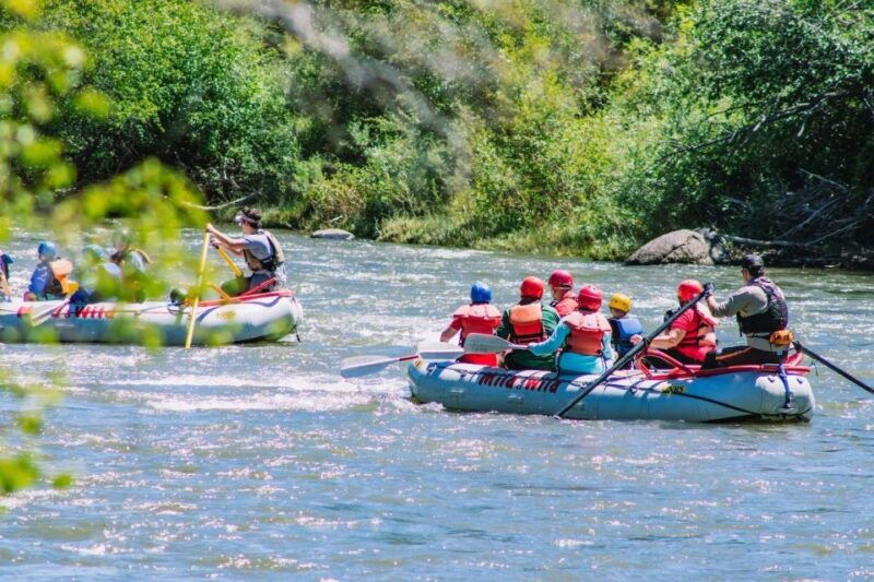 durango-co-whitewater-rafting-4-hour-trip