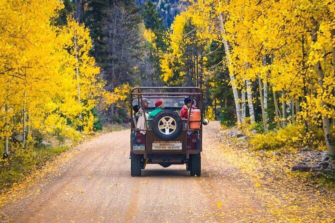 Durango Half Day Jeep Tour - La Plata Canyon - Who Should Consider This Tour?