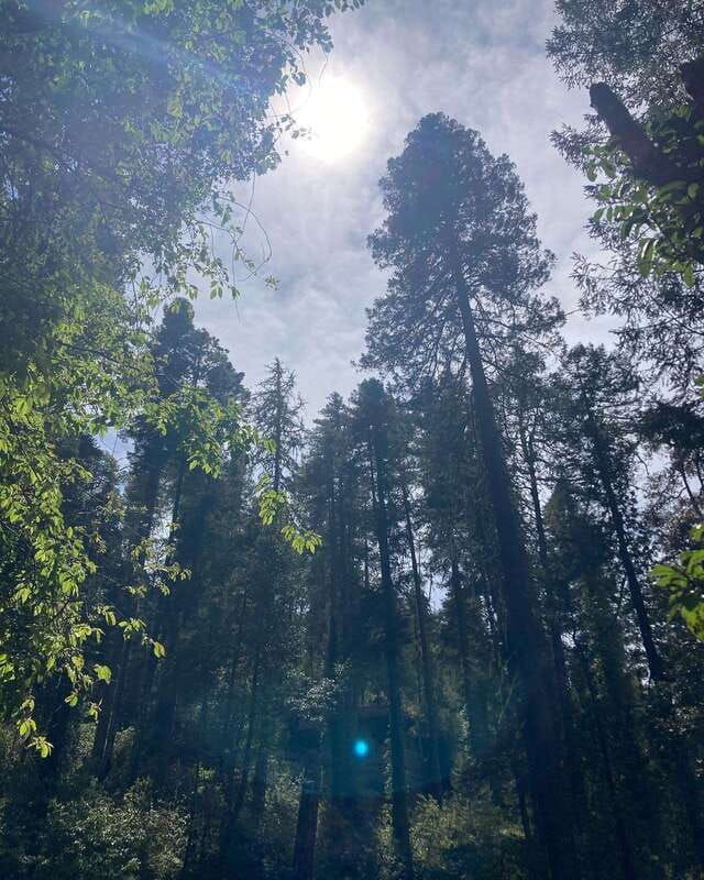 durango-the-pyramid-park-bird-watching-and-hike