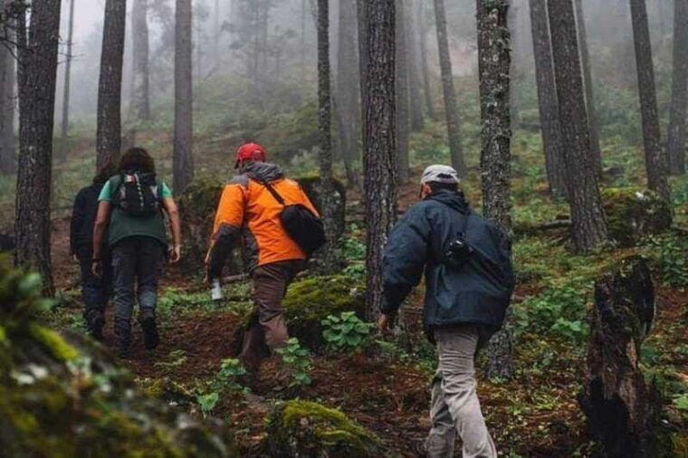 durango-the-pyramid-park-bird-watching-and-hike