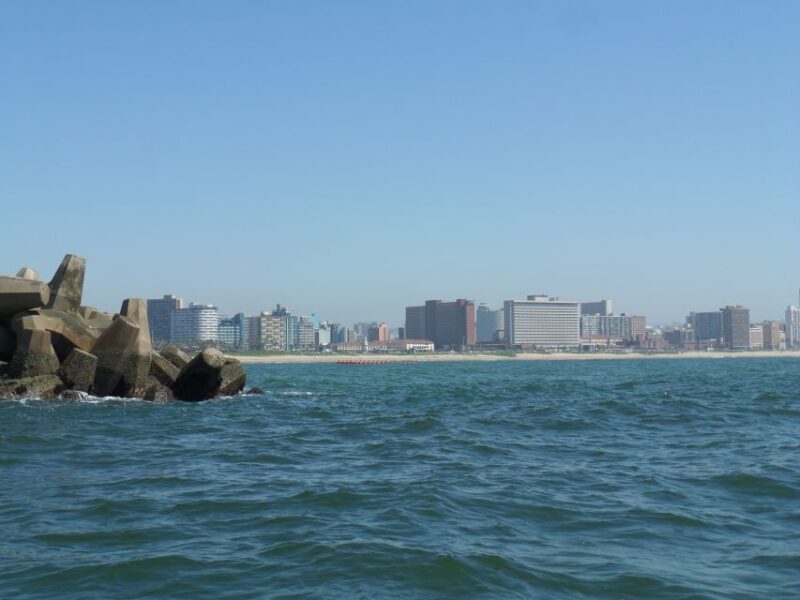 Durban: 1-Hour Boat Cruise from Wilson's Wharf - What to Expect on the Durban Boat Cruise  